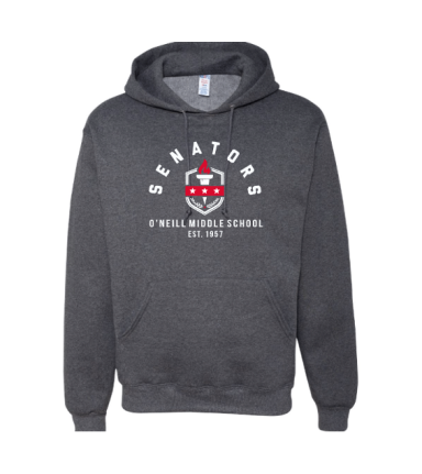 6999 - Heather Charcoal Premium Fleece Hoodie