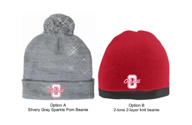 7025 - Silver Gray Sparkle Pom Beanie or Two-tone 2-layer Knit Beanie